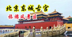 骚女被插视频中国北京-东城古宫旅游风景区